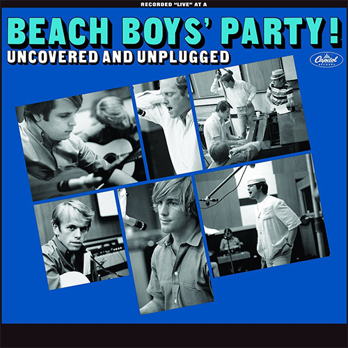 Beach Boys Party